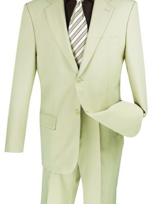 Budget Collection Regular Fit Single Breasted Suit | 2PP