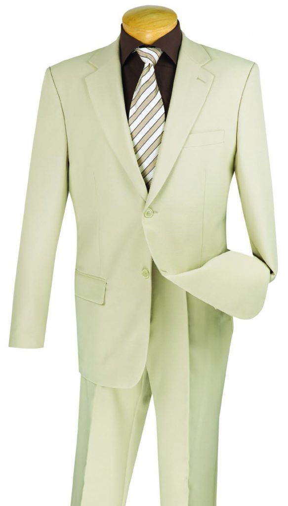 Budget Collection Regular Fit Single Breasted Suit | 2PP